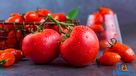 吃番茄要细嚼慢咽