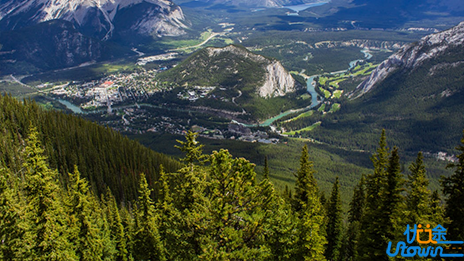 你若不努力，这世界又怎会如你所愿