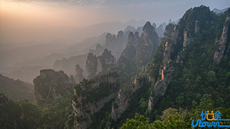 诗歌鉴赏题型、答题模板大汇总！