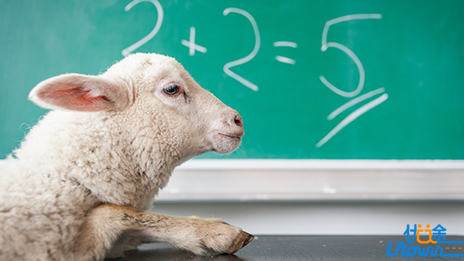 如何在短时间内提高数学成绩？