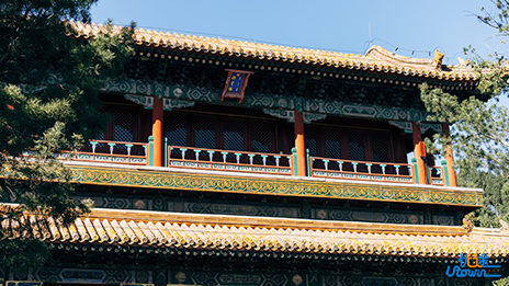 一篇文章告诉你怎样学好历史