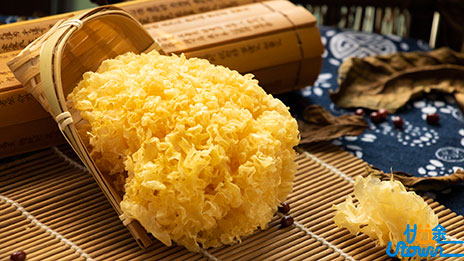 饮食起居运动应顺应节气