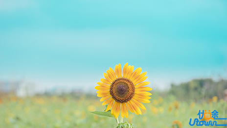 “篮球女孩”长大了！