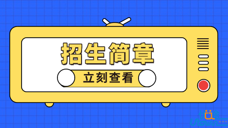 南京工业大学2023年综合评价招生简章