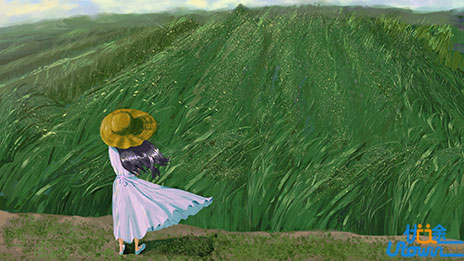 2023年高考备考策略 >>> 政治学科