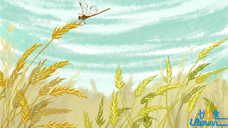 2023年福建省普通高等学校招生录取实施办法