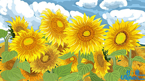 《阳光小美女》：梦想与现实的温情碰撞