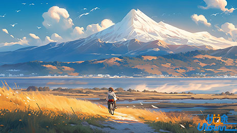 2024年度西南地区空军招飞高考后定选（复查）检测安排