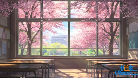 昆山杜克大学2025年本科综合评价招生简章（中国内地学生）