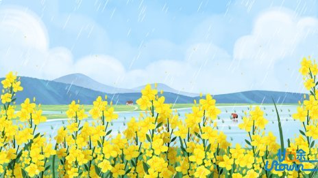 2025年空军招飞（上海地区）初选工作将于11月10日进行