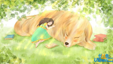 嘉兴大学2025年三位一体综合评价招生章程