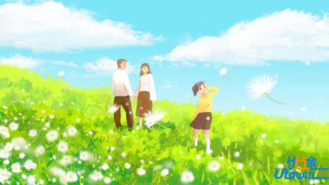 中央民族大学2024年强基计划各省录取分数线