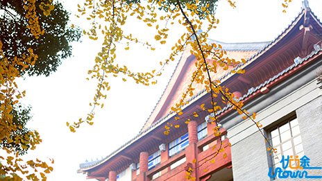 关于广东省2025年普通高校招生录取结果查询安排的通知