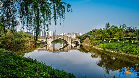 重庆大学关于2025年强基计划录取标准的公示