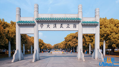 武汉大学2026年强基计划招生简章