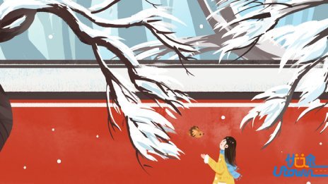 北京大学2026年强基计划招生专业培养方案