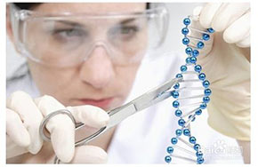 生物医学工程专业就业方向