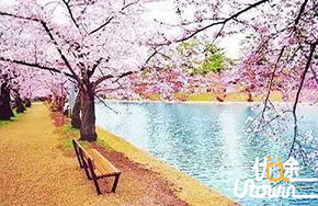 总有一条路花香满径