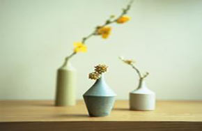 中山大学教授抗议草坪禁令 调查南京高校草坪开放情况