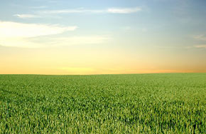 草业科学专业就业方向