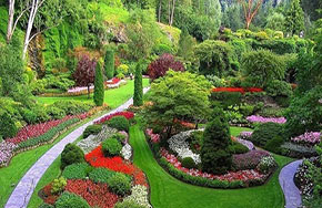 园林专业就业方向