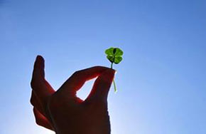 2016年就业率高的专业推荐：心理学专业