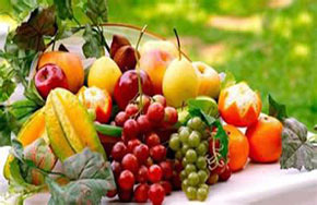 2016年最有前景的专业推荐：食品科学与工程