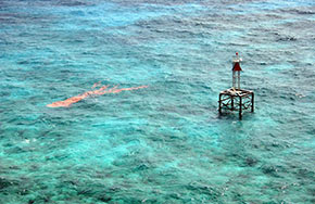 海洋科学：探索海洋的奥秘