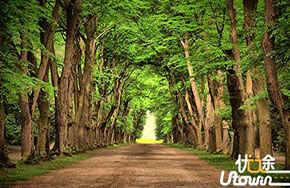 最容易误解的高考专业解读：森林资源保护与游憩