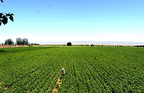 农业资源与环境专业就业方向