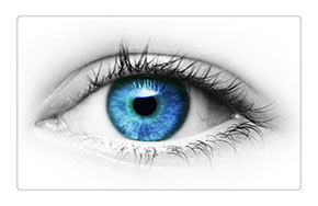 眼视光学专业就业方向