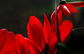 我们是不是真的不如别人