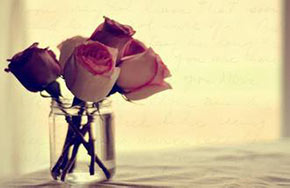 大连理工大学为本科生配备思政班主任