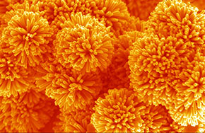 纳米材料与技术：小身材 大领域