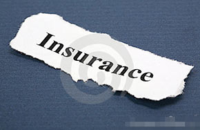 保险学：名声不太响 发展空间大