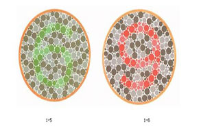 色弱色盲考生需要避开的高考专业