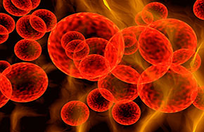 未来遥遥待有时——生物类专业