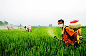 植物保护专业就业方向