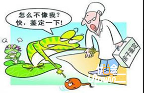 家长对孩子的期望存在4种误区