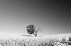 不敢领取的封赏