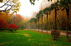 复旦招收农村生专项计划改革：不再笔试面试