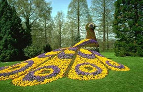 园艺专业就业方向