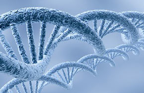 未来的热门专业推荐：生物科学