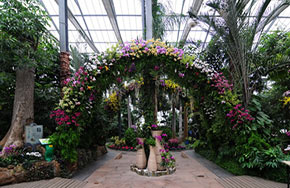 园艺教育专业就业方向