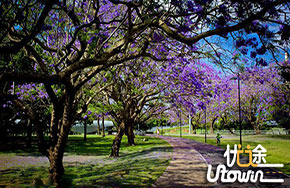 十大新兴专业介绍