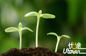 让教师终身受益的建议（五）