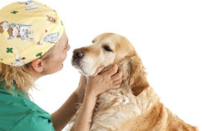 学动物医学就是当宠物医生吗？