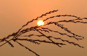 争赢了，也许什么都输了！