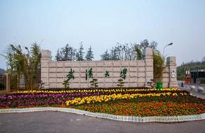 武汉大学63项举措改革本科教育 以“成人”教育统领“成才”教育