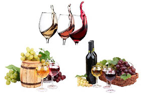 酿酒工程专业就业方向